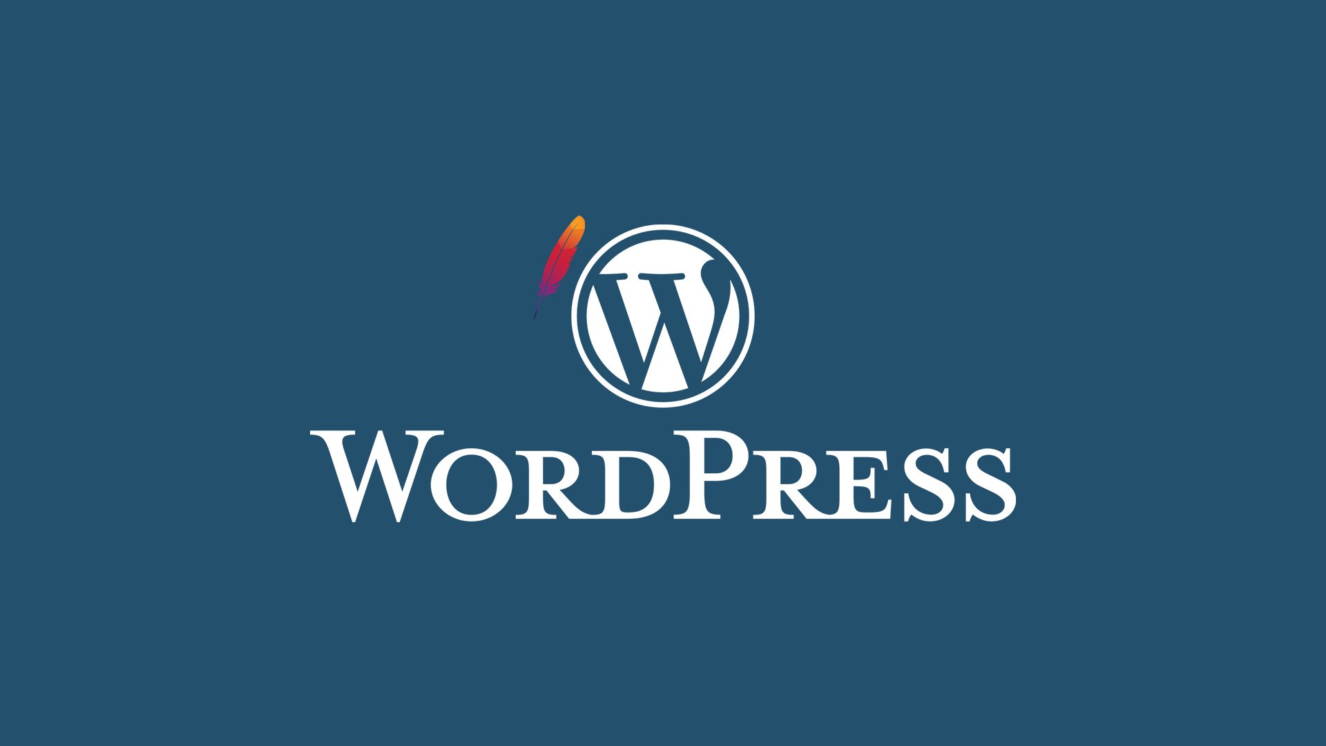 Wordpress изображения. WORDPRESS.