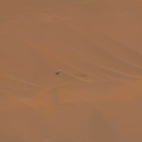 Mars-Helikopter Ingenuity: Fotos zeigen meterweit weggeschleudertes Rotorblatt