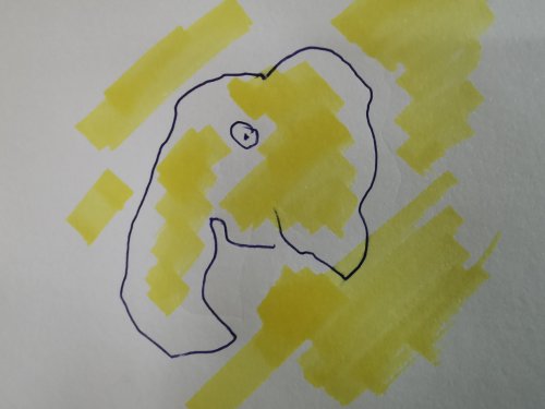 Two Yellow Elephants