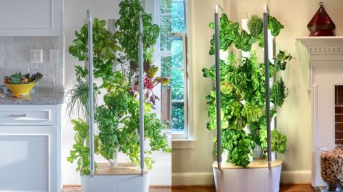This vertical garden device makes indoor gardening possible
