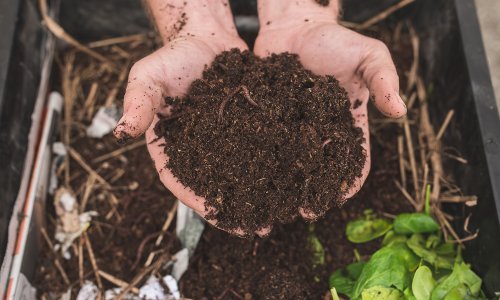 How To Start Your Own Vermicomposting Bin (And Get Incredible Soil Out Of It)