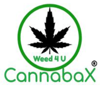 Book cannabax dispensary: online weed dispensary ny