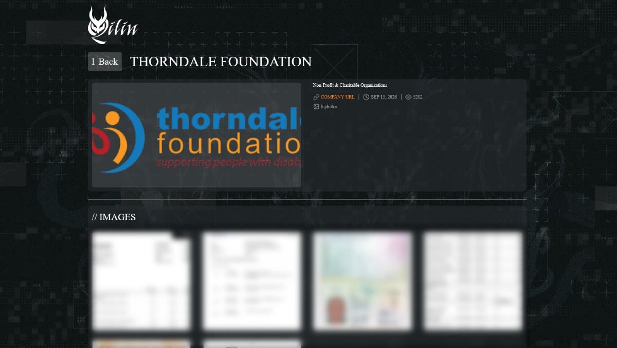 Exclusive: Aussie not-for-profit Thorndale Foundation investigating Qilin breach claims
