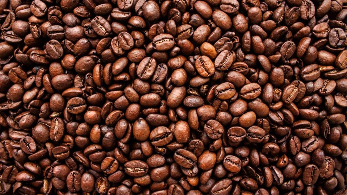Everything you need to know about coffee roasts
