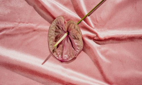 6 Surprising (And Scientific!) Facts About Orgasms You Might Not Know