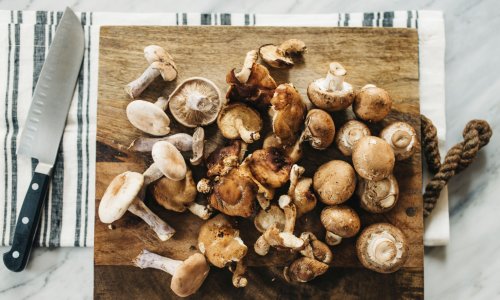 3 Medicinal Mushrooms An Immunologist Wants You To Prioritize In The New Year