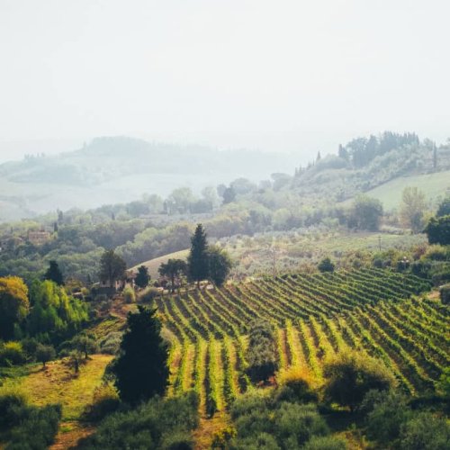 See (and Eat!) the Best of Northern Italy on Our First-Ever Collaboration with EF Go Ahead Tours