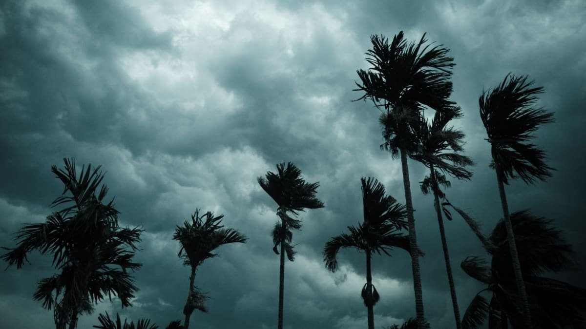 La Niña spells an increase in hurricane activity — how to prepare
