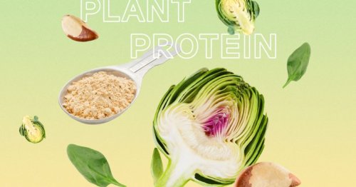 The Best Vegan & Vegetarian Sources Of Protein