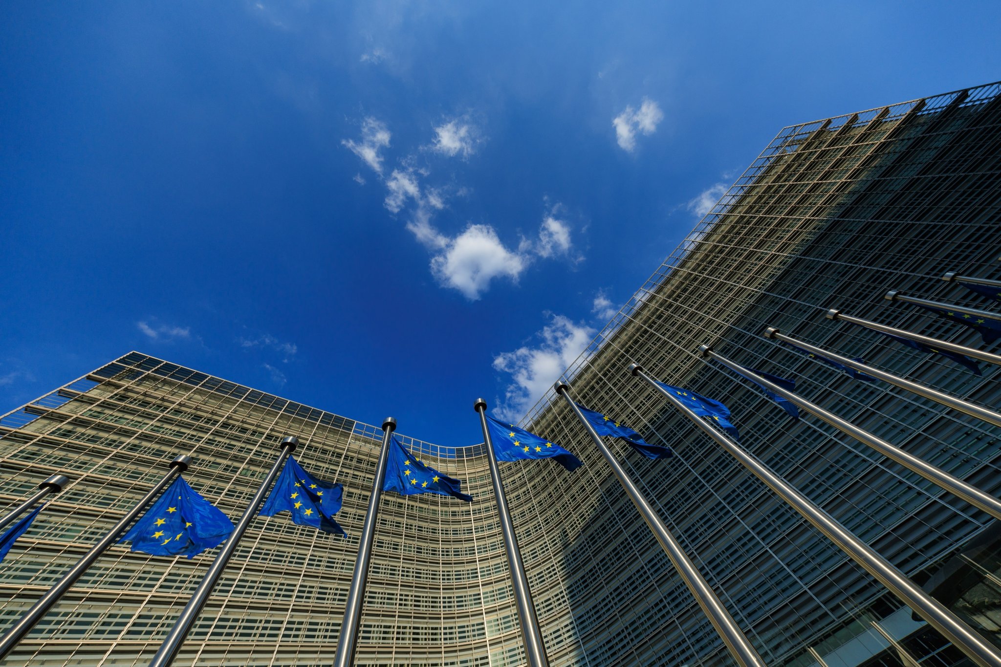 The Ghost in the Glass Building: Unpacking the Great European Data Leak