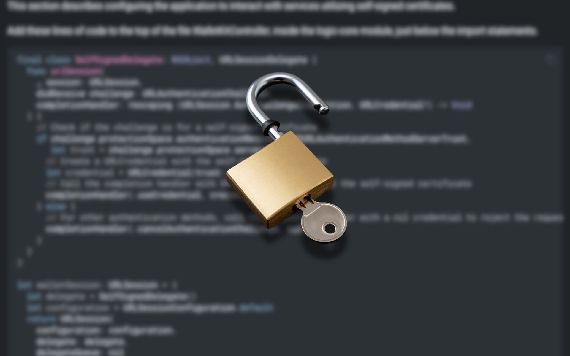 EU Age Verification App Compromised Minutes After Launch