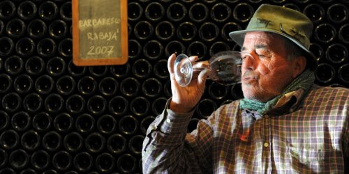 Barbaresco wine estates to watch