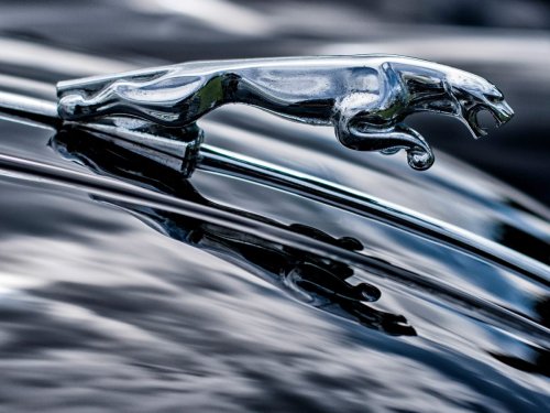 Rebranding An Icon: What Marketers Can Learn From Jaguar's Campaign