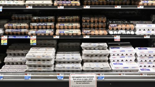 Wholesale egg prices have 'collapsed.' Why consumers may soon see relief