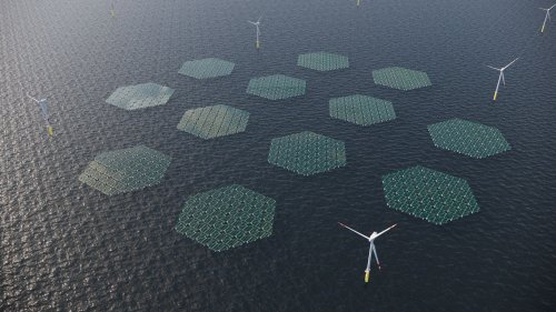 A pilot project in the North Sea will develop floating solar panels that glide over waves 'like a carpet'