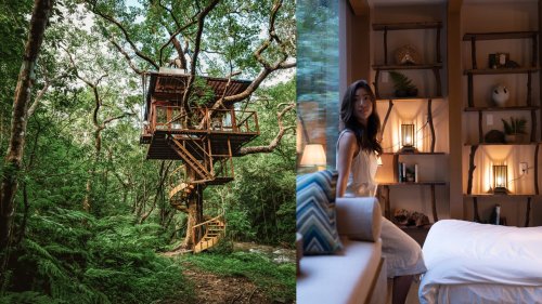 Treehouses are getting booked by wealthy travelers — and the photos show why