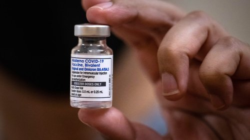 FDA advisors recommend replacing original Covid vaccine with bivalent omicron shots for all doses