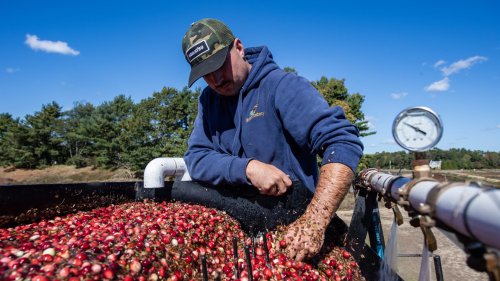 Agriculture isn't nearing trade war tariffs crisis, 'it is full blown crisis already' farmers say