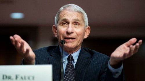 Fauci debunks theories of low CDC coronavirus death toll: 'There are 180,000-plus deaths' in U.S.