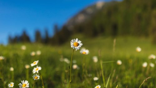 Feeling 'Off'? This Is Why Springtime Can Affect Your Mood