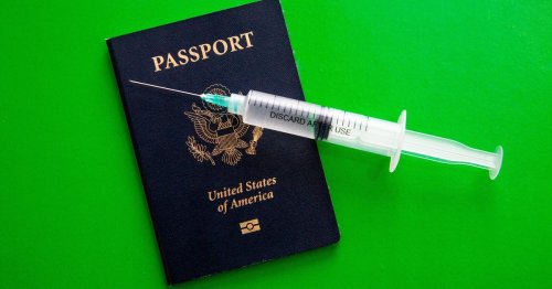 COVID-19 vaccine passports will play a part in global travel
