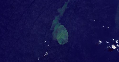 'Sharkcano': NASA Spots Eruption of Underwater Volcano Where Sharks Live
