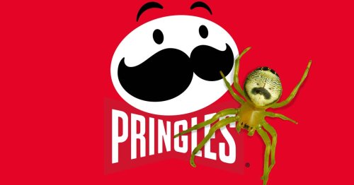 Look at How Much This Spider Looks Scarily Like the Cartoon Pringles Mascot
