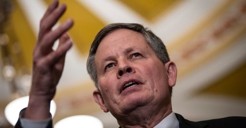 Twitter Temporarily Suspends Sen. Daines' Account Over Hunting Photo