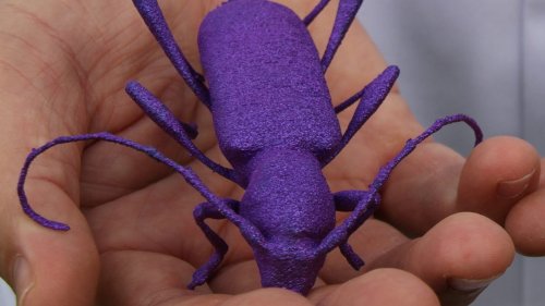 3D-printing giant bugs out of titanium... for science!