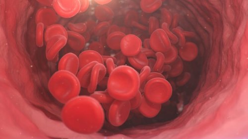 Does Your Blood Type Affect Your Heart Health? Yes, but Here's the Full Story