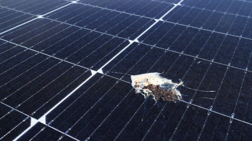 Solar Panel Scams: 7 Red Flags to Avoid