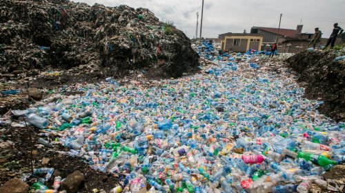 Scientists may have stumbled upon a solution to the world's plastic problem
