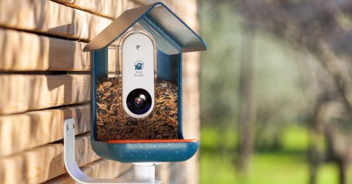 Smart bird feeder snaps bird selfies for collectible game and conservation tool