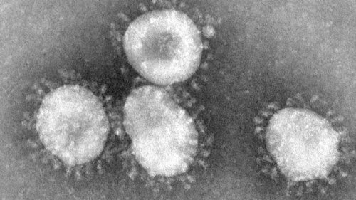 Outbreak of mysterious illness in China traced to never-before-seen virus