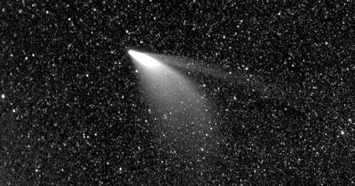 Comet Neowise is a photographer's dream: How to capture it before it fizzles