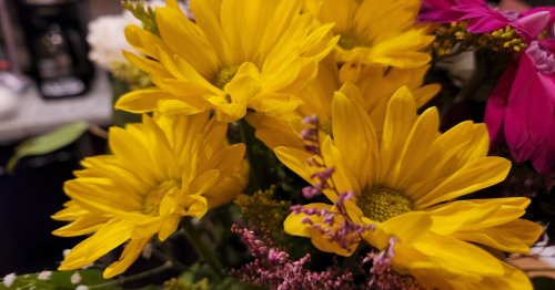 Keep Flowers Fresh Longer: Tips That Actually Work, According to Experts