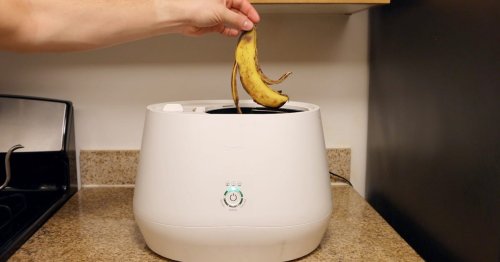 Lomi Makes Composting Faster and Cleaner