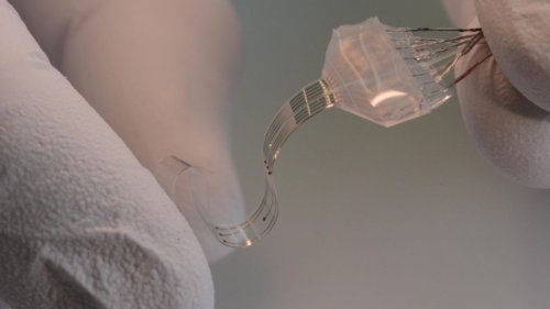Flexible implant shows promise for paralysed humans