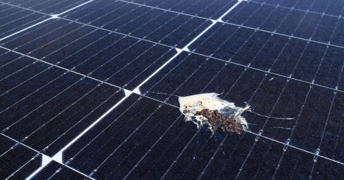 How to Avoid a Solar Panel Scam