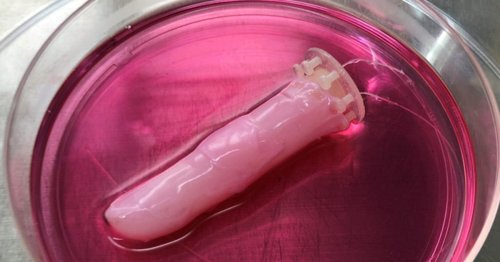 Scientists craft 'living skin' for robots, made of human cells