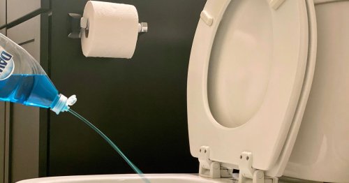 Clogged Toilet? You Don't Need a Plunger