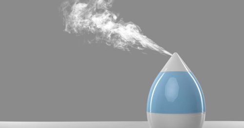 Your Humidifier Is in the Wrong Spot. Here's Where to Put It