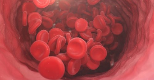 Your Blood Type Is Linked to Heart Health. Here's How