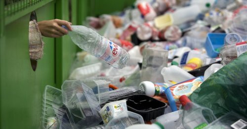 Newly discovered bacteria eats and digests PET plastic
