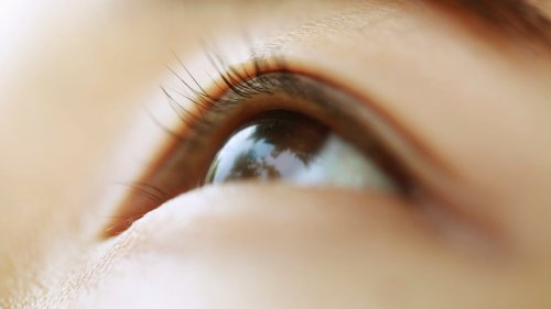 Prioritize Your Eye Health by Using These 10 Daily Tips