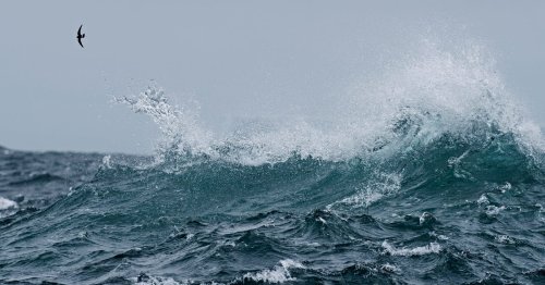 The world waves hello to a brand-new ocean