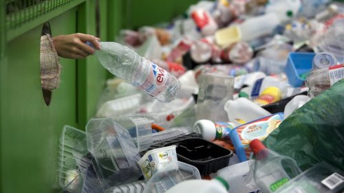 Newly discovered bacteria eats and digests PET plastic