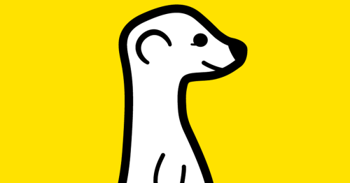 Meerkat live-stream app adds new features, including a new co-host mode