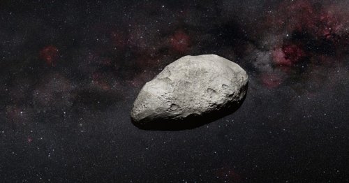 James Webb Space Telescope Discovers New Asteroid 'Completely Unexpectedly'