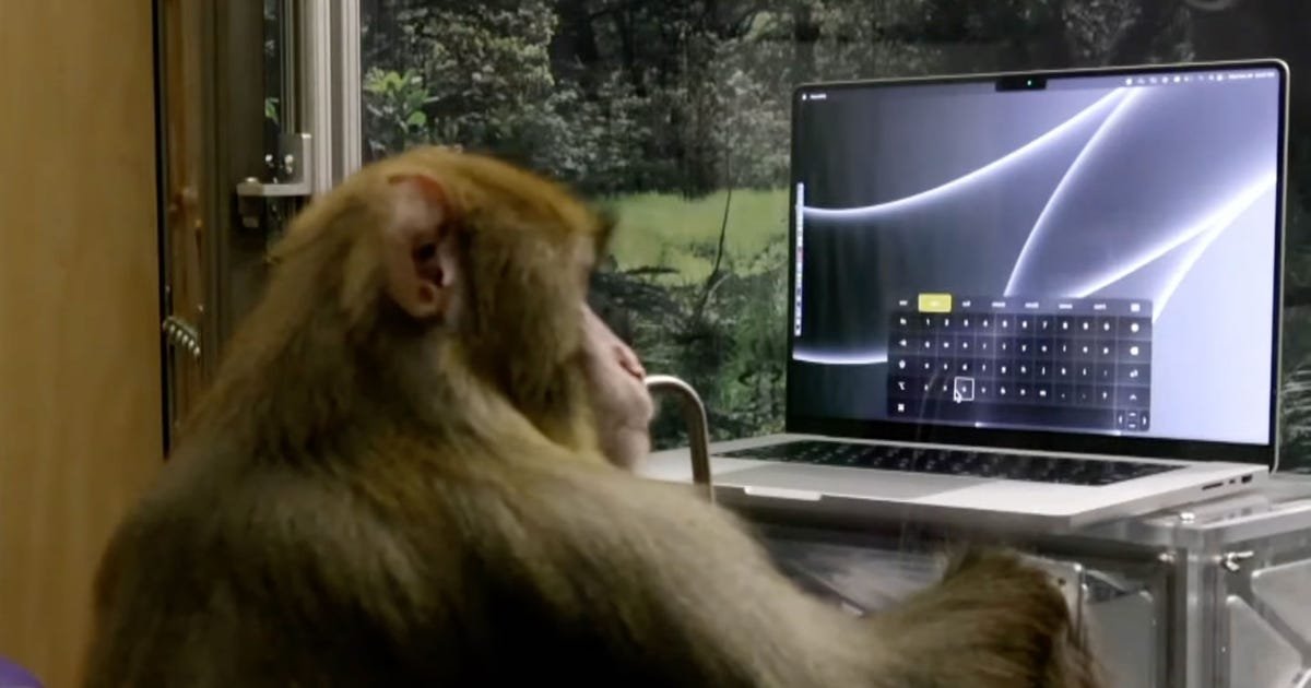 Neuralink shows monkey typing with its brain chip - Business News